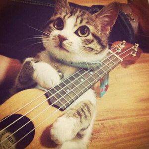 宝宝好久没c你了
