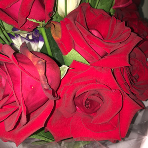 宝宝好久没c你了
