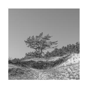 宝宝好久没c你了
